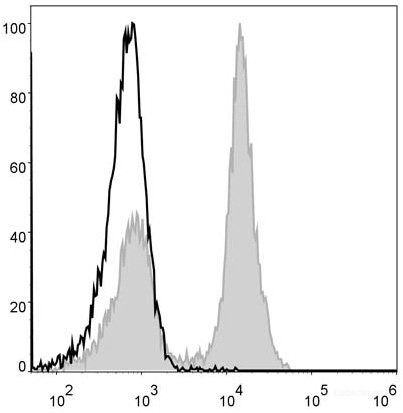 Anti-Mouse CD19 (AF488 Conjugated)[1D3], clone 1D3