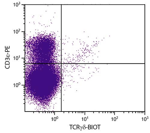 Anti-TCR gamma/delta (Biotin), clone UC7-13D5