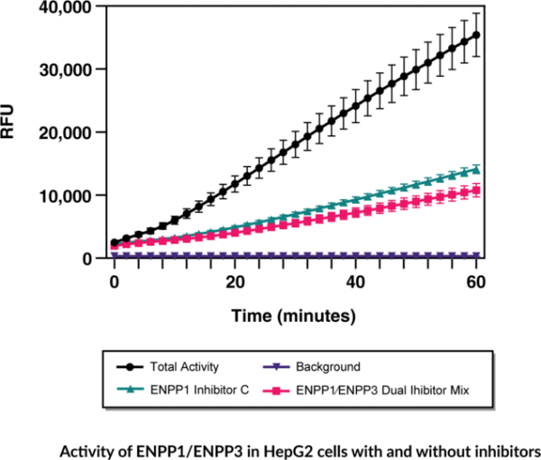 ENPP1/ENPP3 Cell-Based Activity Assay Kit