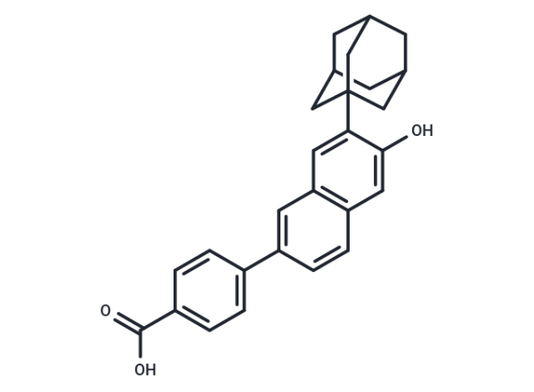 CD 1530