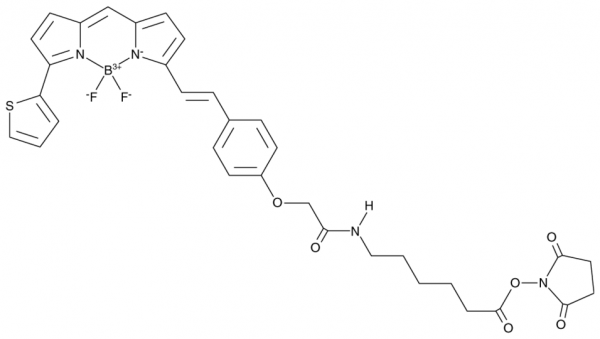 BODIPY 630/650X succinimide ester