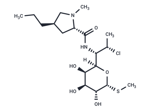 Clindamycin