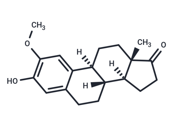 2-Methoxyestrone