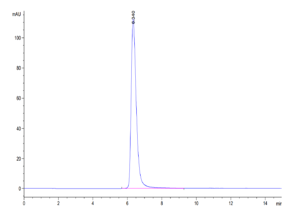 Human CD163 Protein