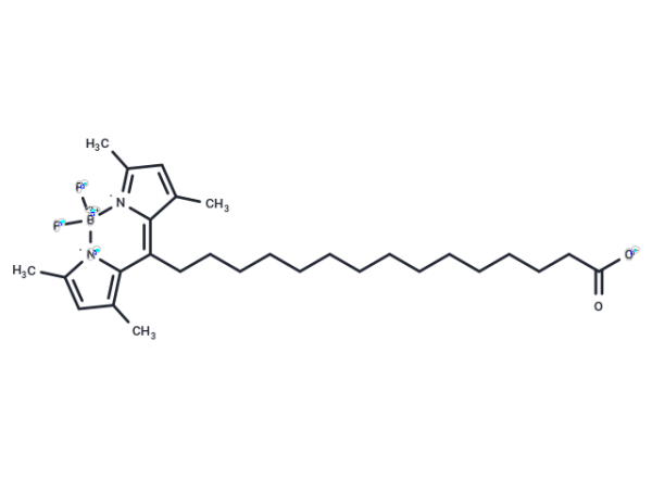 BODIPY-Palmitate