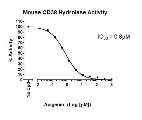Mouse CD38 Inhibitor Screening Assay Kit (Hydrolase Activity)
