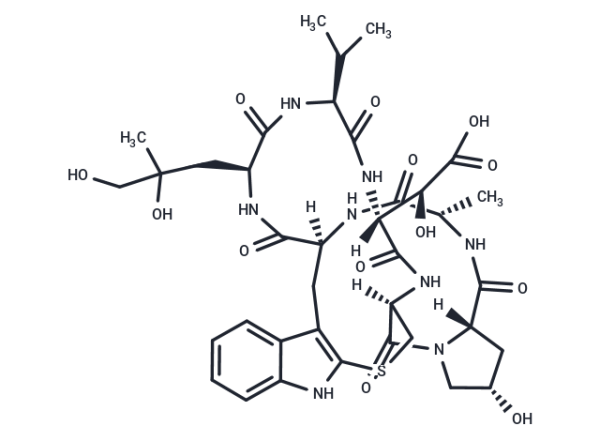 Phallacidin