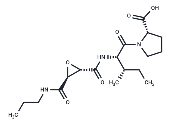 CA 074