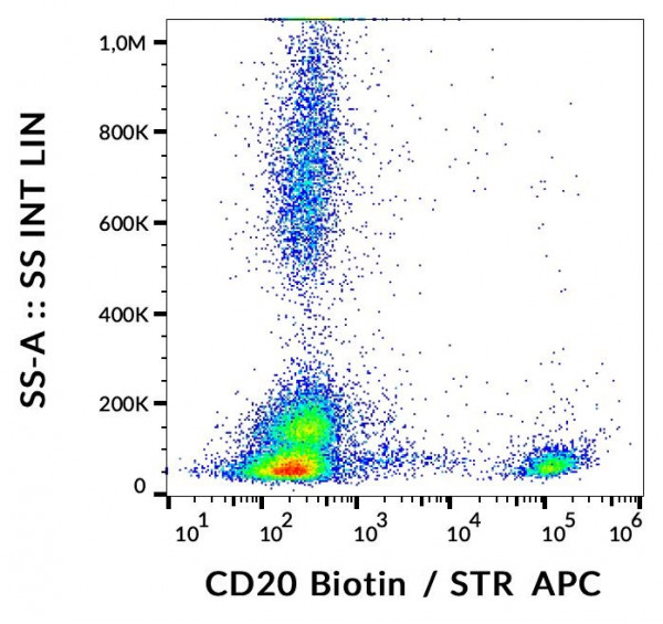 Anti-CD20, clone 2H7 (biotin)