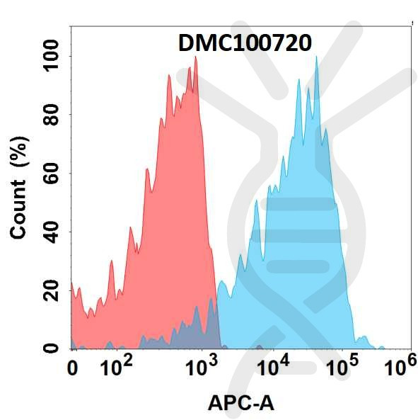 Anti-ENPP3 antibody(DMC720), IgG1 Chimeric mAb