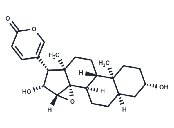 Desacetylcinobufagin