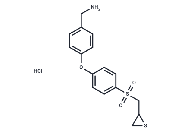 ND-336