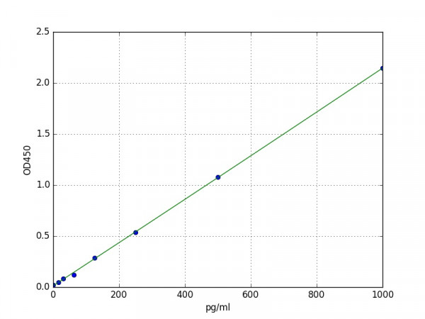 Rabbit IL15 ELISA Kit