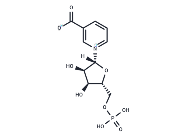 Nicotinic acid mononucleotide