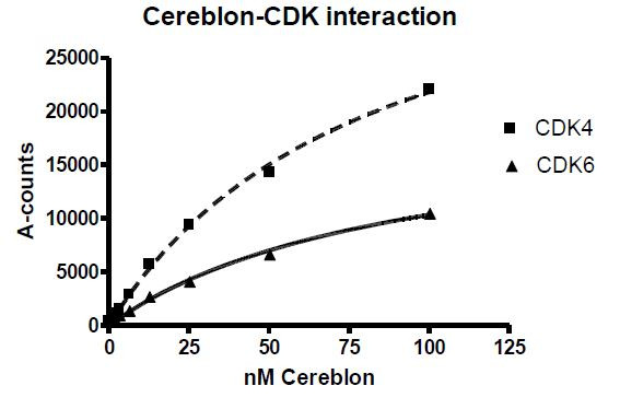 PROTAC Optimization Kit for CDK Kinase-Cereblon Binding