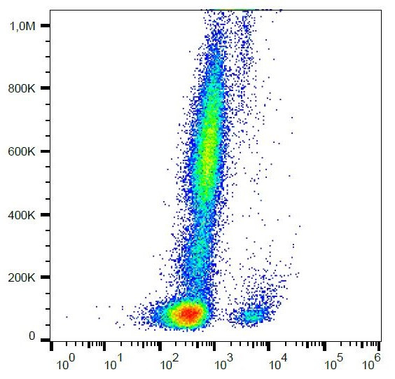 Anti-CD19 (PerCP), clone 4G7