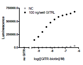 GITRL:GITR[Biotinylated] Inhibitor Screening Assay Kit