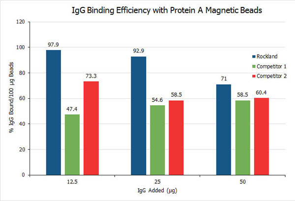 TrueBlot(R) Protein A Magnetic Beads