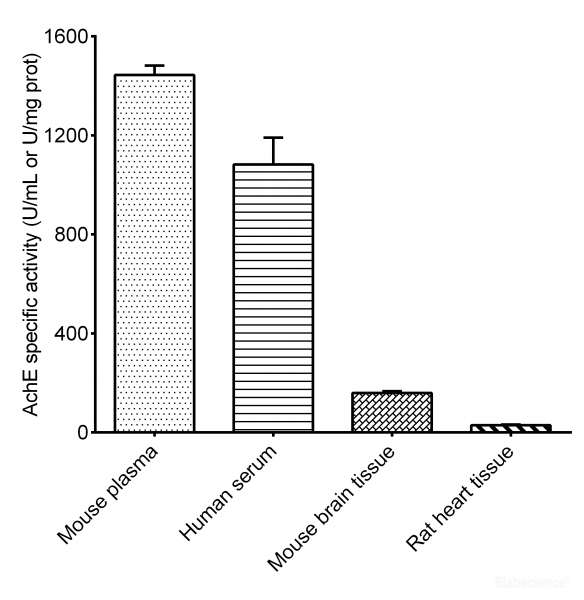 Acetylcholinesterase (AchE) Activity Assay Kit