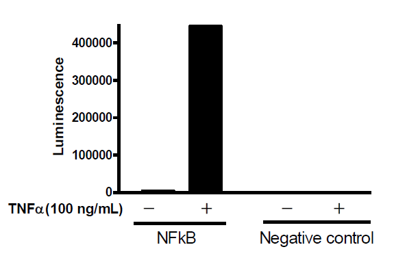 Negative Control Lentivirus (Firefly Luciferase) | BPS Bioscience ...