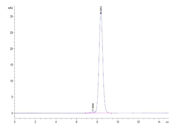 Rat CD47 Protein