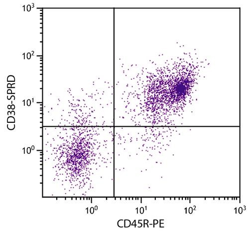 Anti-CD38 (Spectral Red), clone NIMR-5
