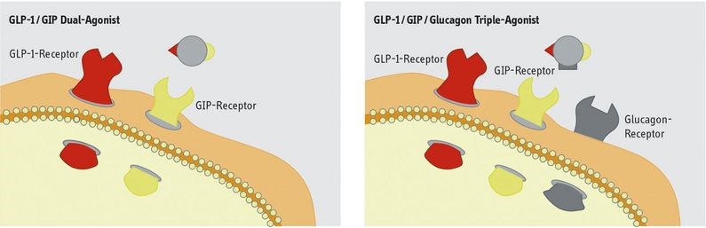 Diabetes_Figure_3