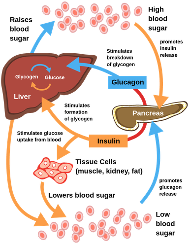 Diabetes_Figure_1_final