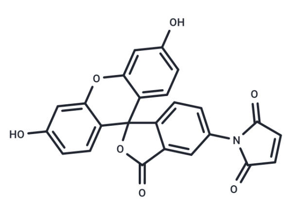 Fluorescein-5-maleimide