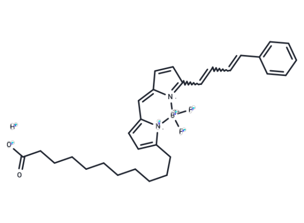 BODIPY 581/591 C11