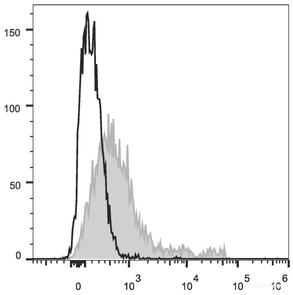 Anti-Mouse CD117 (PE Conjugated)[2B8], clone 2B8