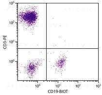 Anti-CD19-Biotin Conjugated (human) [Mouse]