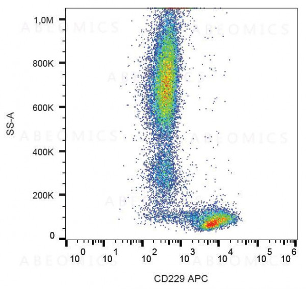 Anti-CD229 / Ly9 Monoclonal Antibody (Clone:HLy9.25)-APC Conjugated