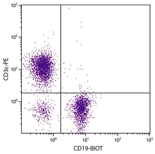 Anti-CD19 (Biotin), clone 6D5