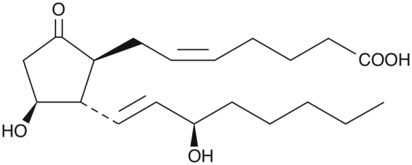 ent-Prostaglandin E2