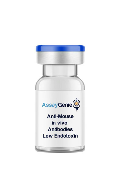 Anti-Mouse CD122 (IL-2Rbeta) In Vivo Antibody - Low Endotoxin