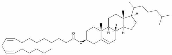 Cholesteryl Linoleate