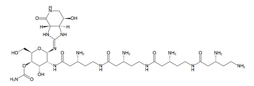 Nourseothricin (NTC)