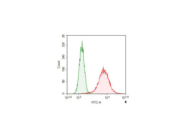 Anti-FITC-conjugated beta Tubulin, clone 2E8-2