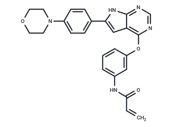 BTK inhibitor 10