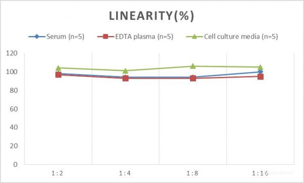 MS Mouse RANTES (Regulated On Activation, Normal T-Cell Expressed and Secreted) ELISA Kit