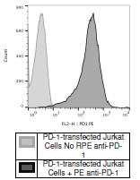 Anti-human PD-1, PE-labeled