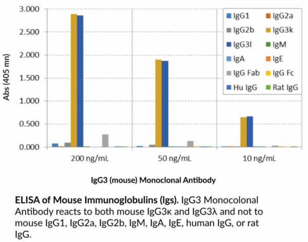 Anti-IgG3 (mouse) Rabbit Monoclonal Antibody (Clone RM218)