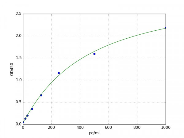 Rabbit bFGF / FGF2 / Basic Fibroblast Growth Factor ELISA Kit