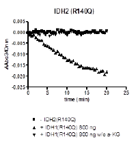 IDH2 (R140Q), human recombinant protein, C-terminal FLAG-tag