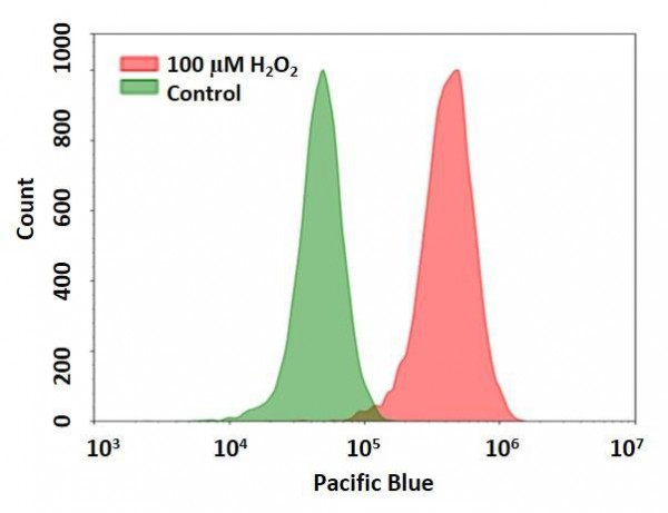 Cell Meter(TM) Intracellular Fluorimetric Hydrogen Peroxide Assay Kit *Blue Fluorescence Optimized f