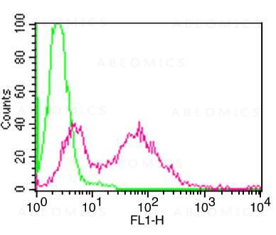 Anti-Mouse CD25 (Clone: PC61) FITC conjugated