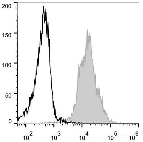 Anti-Mouse CD11a (PE Conjugated)[FD441.8], clone FD441.8