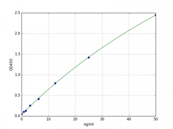 Human CNDP2 / Cytosolic non-specific dipeptidase ELISA Kit