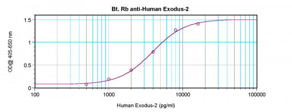 Anti-CCL21 / Exodus2 (Biotin)